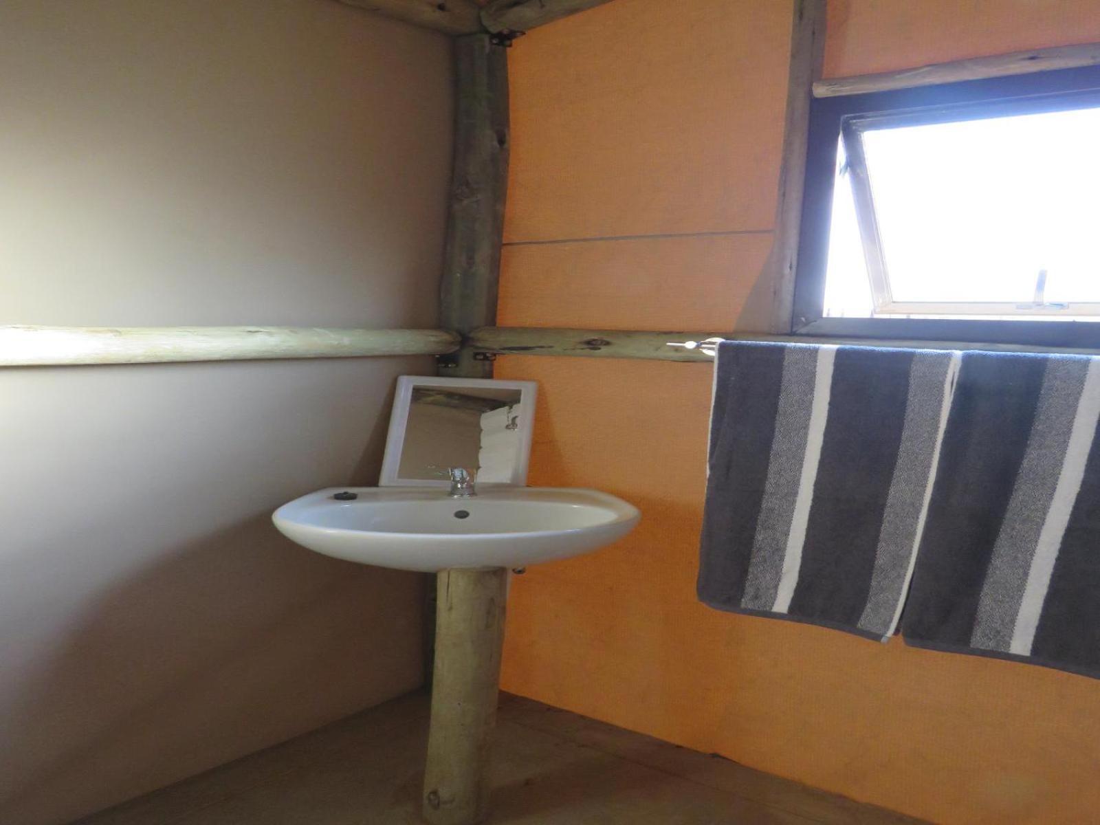Tropic Of Capricorn Guest Farm Hotell Rehoboth Rum bild
