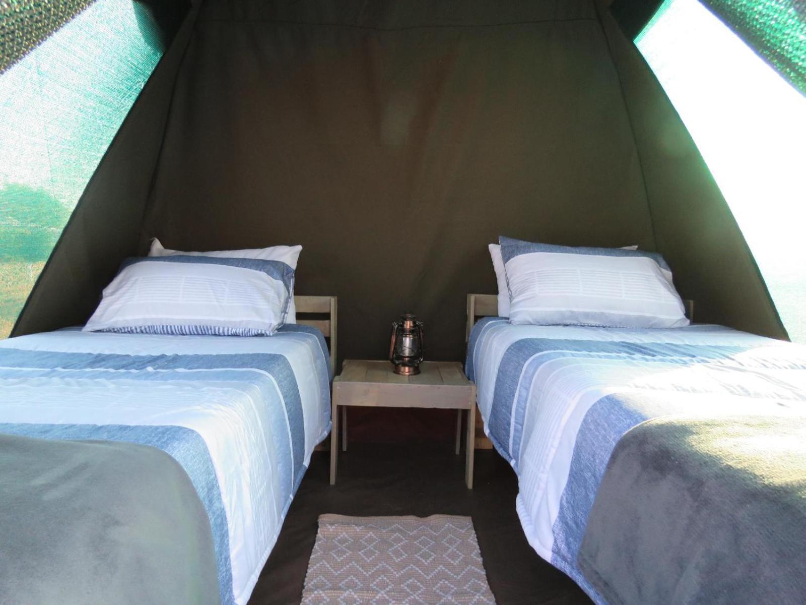 Tropic Of Capricorn Guest Farm Hotell Rehoboth Rum bild
